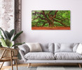 39006 02 Tree of Life, Acrylic Glass Art