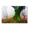 39192 Green Moss Tree, Acrylic Glass Art