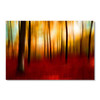 39285 Forest Blur, Acrylic Glass Art