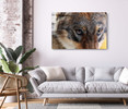 35161 Wolf Eyes, Acrylic Glass Art