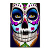 65058 Sugar Skull Face, Acrylic Glass Art