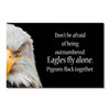 36049 Eagles Fly Alone, Acrylic Glass Art