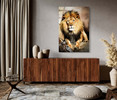 46740 Lion's Stare, Acrylic Glass Art