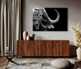 35086 B&W Buffalo Closeup, Acrylic Glass Art