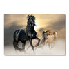 66061 A Horse's Stance, Acrylic Glass Art