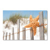 19092 Starfish Fence, Acrylic Glass Art