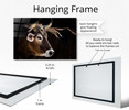 35129 Cow Headshot, Acrylic Glass Art
