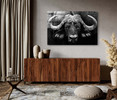 35139 B&W Buffalo, Acrylic Glass Art