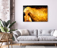 55108 Golden Hair, Acrylic Glass Art