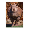 35137 Rhinoceros, Acrylic Glass Art
