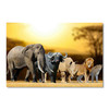 35962 Biggest Animals, Acrylic Glass Art