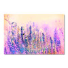 15103 Purple Perennial Flowers, Acrylic Glass Art