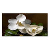 15000 02 White Jasmines, Acrylic Glass Art