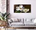 15000 02 White Jasmines, Acrylic Glass Art
