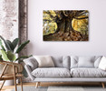 79042 Tree Trunk, Acrylic Glass Art