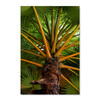 10032 Palm Tree Trunk, Acrylic Glass Art