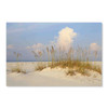 10611 Beach Grass, Acrylic Glass Art