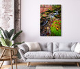 80073 Red Leaves Stream, Acrylic Glass Art
