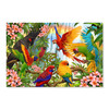 70015 Colorful Parrots, Acrylic Glass Art