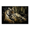 35127 Laying Tiger, Acrylic Glass Art