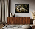35127 Laying Tiger, Acrylic Glass Art
