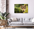 35066 Peaking Wolf, Acrylic Glass Art