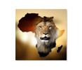 14153 04 African Lion, Acrylic Glass Art