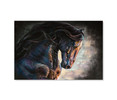 66911 Stallion Painting, Acrylic Glass Art