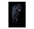 35053 Black Panther, Acrylic Glass Art