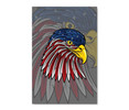 17140 American Eagle, Acrylic Glass Art