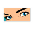 17104-02 Blue Eyes, Acrylic Glass Art