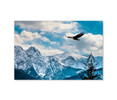 70091 Bald Eagle Winter Mountains, Acrylic Glass Art