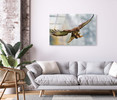 70200 Common Buzzard Flying, Acrylic Glass Art