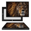 MINI35178 Lion Head, Framed UV Poster Board