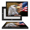 MINI60031 Freedom Eagle, Framed UV Poster Board