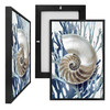 MINI19065 Spiral Shell, Framed UV Poster Board