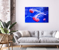 50026 Jellyfish Swimming, Acrylic Glass Art