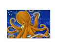 50210-A Octopus, Acrylic Glass Art