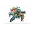 73109A Watercolor Sea Turtle , Acrylic Glass Art