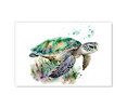 73109B Watercolor Sea Turtle , Acrylic Glass Art