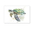 73109F Watercolor Sea Turtle , Acrylic Glass Art