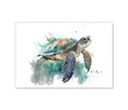 73109I Watercolor Sea Turtle , Acrylic Glass Art