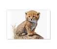 70050 Cheetah Cub, Acrylic Glass Art