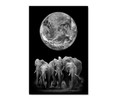 35149 Earth Elephants, Acrylic Glass Art