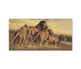 35055-02 Pride of Lions, Acrylic Glass Art