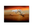 39166 Cherry Blossom, Acrylic Glass Art