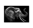 35191 Elephant, Acrylic Glass Art