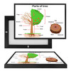 MINI98082 Parts of the Tree, Framed UV Poster Board