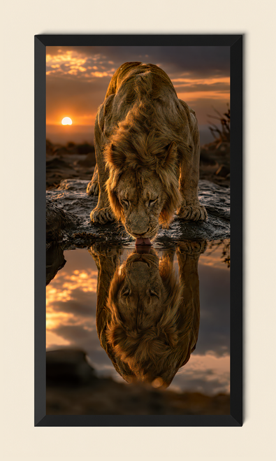 Reflection Of Strength