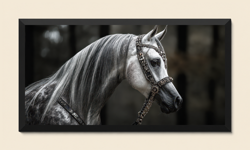SILVER MAJESTY